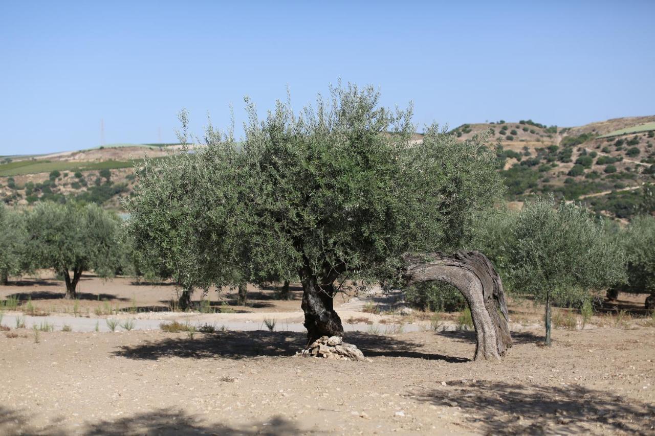 فندق Relais Chiaramonte راغوزا المظهر الخارجي الصورة